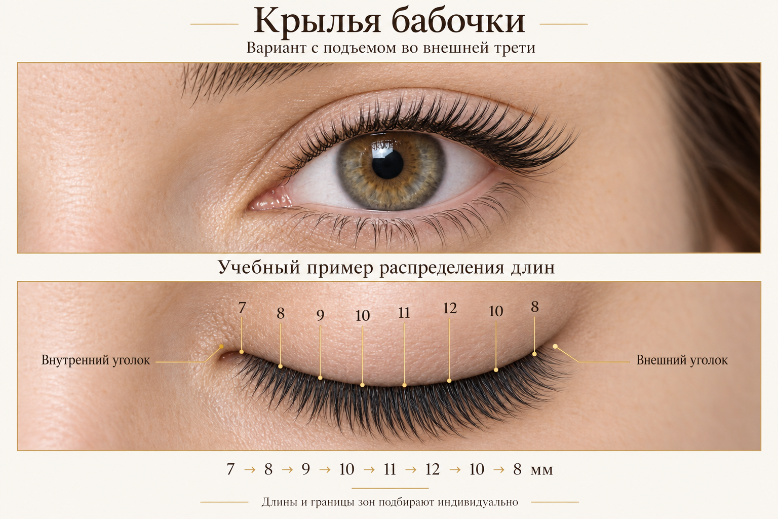 Вариант эффекта «Крылья бабочки»: акцент во внешней трети и сокращение после пика